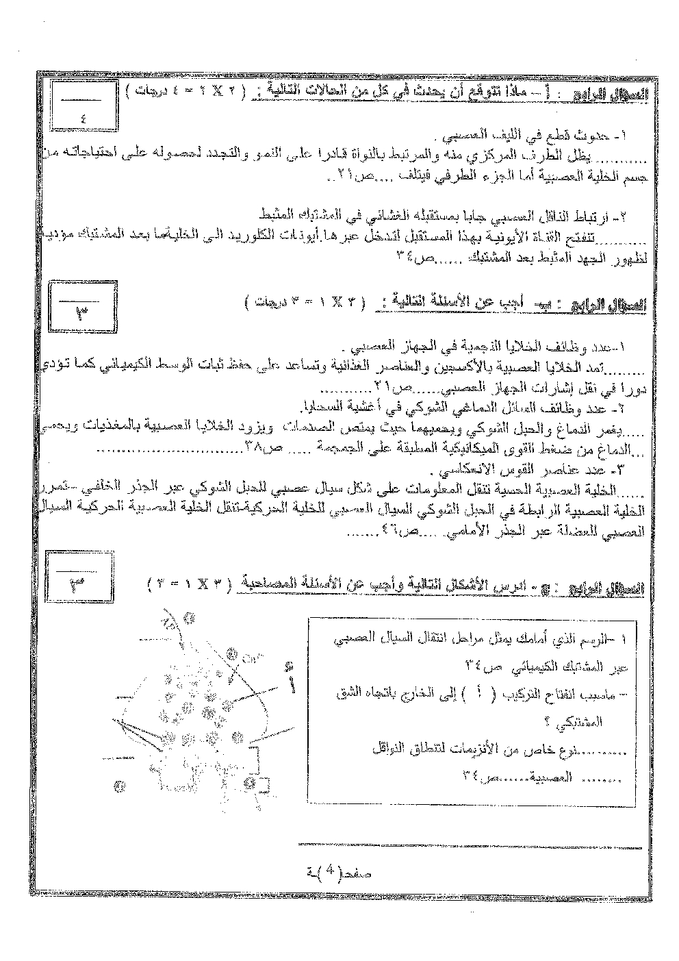 مذكرة اختبارات مع الحل أحياء للصف الثاني عشر علمي الفصل الأول ثانوية