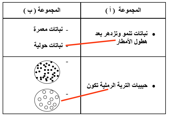 حدد العبارات المركبة الصحيحة فيما يلي