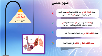 تقرير علوم ثامن الجهاز التنفسي - مدرستي