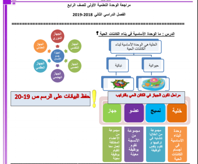 الخلية النباتية والخلية الحيوانية للصف الرابع الابتدائى