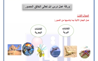 ورق عمل الوحدة الثالثة تربية اسلامية الصف الأول الفصل الأول