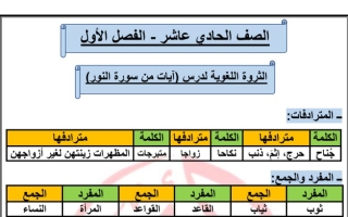 الثروة اللغوية لدرس (من سورة النور) عربي حادي عشر ف1 #أ. عادل أمين