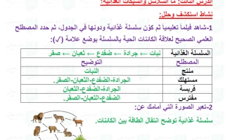 حل درس ما السلاسل والشبكات الغذائية علوم الصف الثالث