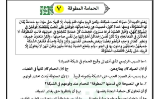 ورقة عمل الحمامة المطوقة لغة عربية الصف السابع الفصل الثاني أ سميرة بيلسان