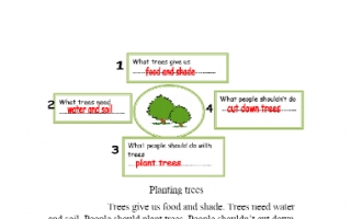 تقرير انجليزي للصف الرابع Planting trees