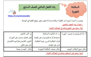 مذكرة بناء الفعل الماضي للغة العربية الصف السابع الفصل الثاني
