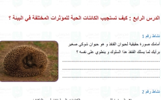 حل درس كيف تستجيب الكائنات الحية للمؤثرات المختلفة في البيئة علوم الصف الرابع الفصل الأول
