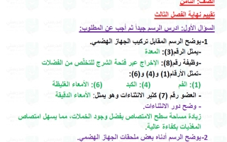 حل تقويم فصل الجهاز الهضمي علوم الصف الثامن الفصل الأول