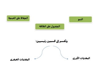 تلخيص علوم الصف الثامن الفصل الأول