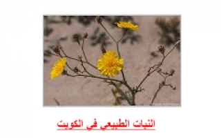 تقرير النبات الطبيعي في الكويت مادة الاجتماعيات للصف الخامس الفصل الأول