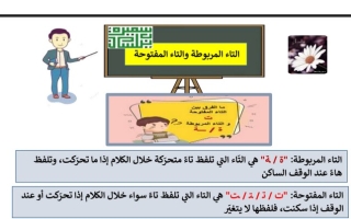 ورقة عمل (التاء المربوطة + التاء المفتوحة) عربي ثاني ابتدائي ف2 #أ. سميرة بيلسان