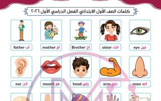 كلمات لغة انجليزية للصف الأول الفصل الأول 2026