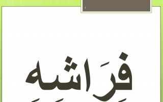 مهارة الهاء اخر الكلمة عربي أول ابتدائي ف2