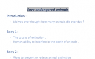 تقرير Save endangered animals انجليزي للصف العاشر الفصل الأول