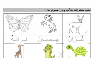 تدريب كتابة عربي أول ابتدائي ف2
