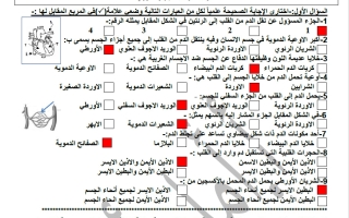 حل أوراق عمل الجهاز الدوري علوم الصف الثامن الفصل الثاني أ أمل أحمد
