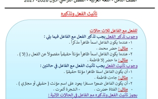 تأنيث الفعل وتذكيره لغة عربية الصف الثامن الفصل الأول 2026-2027