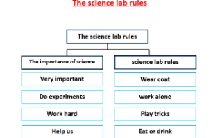 تقرير The science lab rules لغة انجليزية للصف السابع الفصل الأول