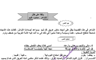 مذكرة درس وقفة على طلل عربي عاشر ف2 #أسناء أحمد