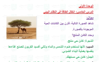 حل درس انتقال الطاقة في النظام البيئي علوم الصف الخامس