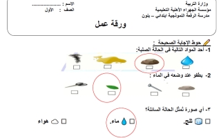 حل ورقة عمل علوم الصف الأول الفصل الثاني