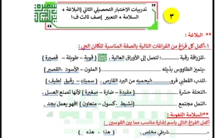 تدريبات الاختبار التحصيلي الثاني لغة عربية الصف الثالث الفصل الأول أ سميرة بيلسان