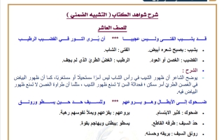 شرح شواهد التشبيه الضمني لغة عربية الصف العاشر الفصل الأول