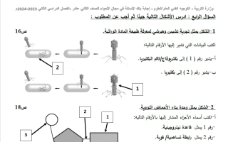 رسومات بنك أحياء الصف الثاني عشر الفصل الثاني