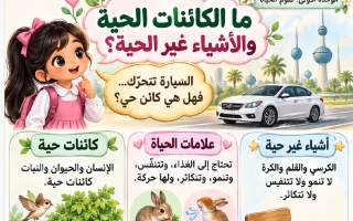 ملخص مصور علوم الصف الأول الفصل الأول