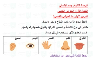 حل درس ما الحواس الخمس علوم الصف الأول