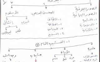 بلاغة اللغة العربية للصف العاشر الفصل الأول