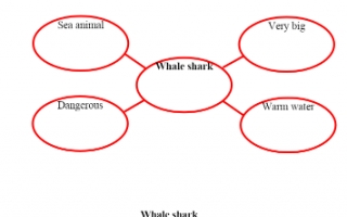تقرير Whale shark لغة إنجليزية للصف السادس