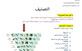 تلخيص القصير الأول علوم الصف السابع الفصل الأول