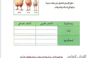 مذكرة درس الانتخاب الطبيعي علوم تاسع فصل أول #أ. أبو أحمد 2024-2025