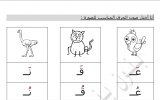 أوراق عمل (2) عربي ثاني ف2