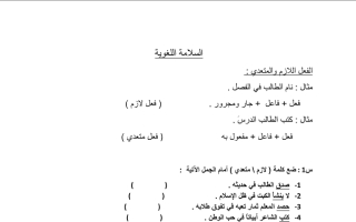 مراجعة القواعد عربي عاشر ف2