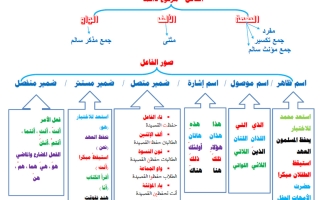 خريطة الفاعل وصوره لغة عربية الصف الثامن الفصل الأول أ عبد العزيز أبودية