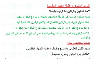 حل درس ما وظيفة الجهاز التنفسي علوم الصف الرابع