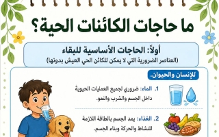 مراجعة علوم الصف الرابع الفصل الأول أ حنان المطيري