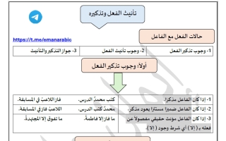 تدريبات تذكير الفعل وتأنيثه لغة عربية الصف الثامن الفصل الأول 2026-2027 أ ايمان علي