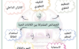 تلخيص درس التركيب البنيوي للخلية الحية أحياء الصف العاشر الفصل الأول أ سحر شبل