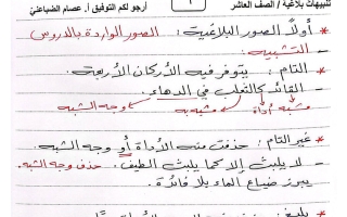 تنبيهات بلاغة للغة العربية الصف العاشر الفصل الثاني أ عصام الضباعني