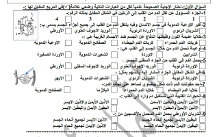 أوراق عمل الجهاز الدوري علوم الصف الثامن الفصل الثاني أ أمل أحمد
