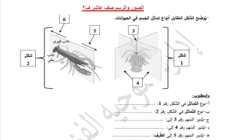 صور بنك أحياء الصف العاشر الفصل الثاني