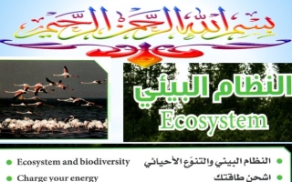 بوربوينت (1) درس (النظام البيئي) علوم سابع ف2