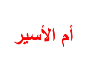 أم الأسير لغة عربية للصف الثاني عشر أدبي ف1