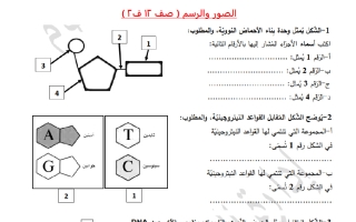 صور بنك أحياء الصف الثاني عشر الفصل الثاني