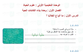 حل درس ما أنواع الخلايا علوم الصف الرابع الفصل الأول