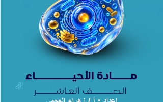 نماذج اختبارات القصير أحياء الصف العاشر الفصل الأول 2026-2027 أ زهراء العجمي