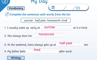 حل الوحدة الثانية My Day كتاب التدريبات لغة انجليزية الصف الثالث الفصل الأول